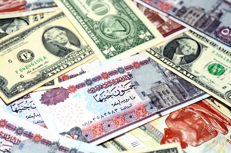 سعر الدولار اليوم مقابل الجنيه المصري.. استقرار رسمي وأعلى ارتفاع في السوق السوداء منذ مايو