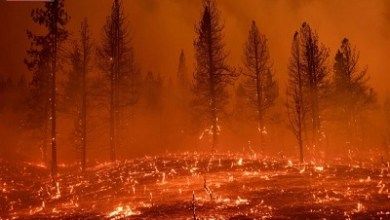 ارتفاع حصيلة القتلى الفلبينيين جراء حرائق الغابات في هاواي إلى 3 أشخاص