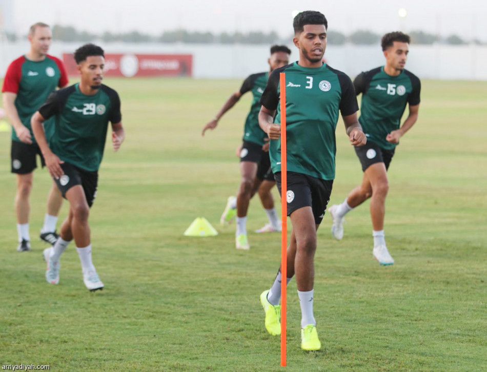 جيرارد وميتروفيتش.. فرصة انتقام