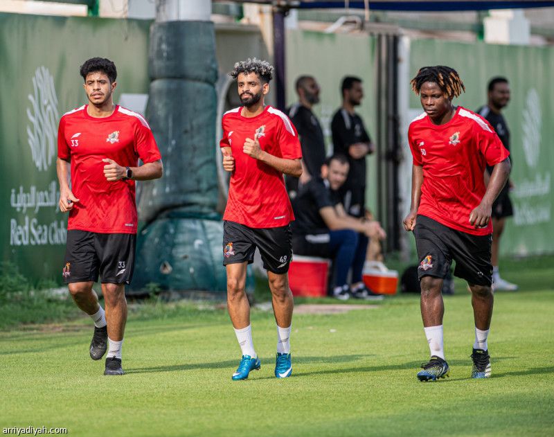 في الشرائع.. النمور 8 انتصارات