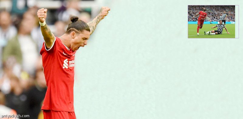 14 مباراة.. فارق الليفر ونيوكاسل