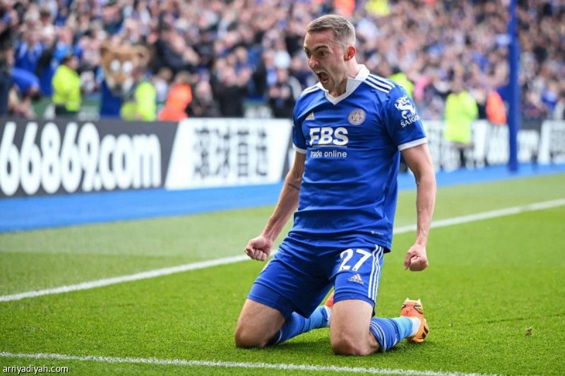 فولهام يدعم خطوطه بالبلجيكي كاستاني