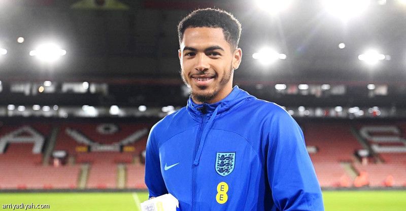 «الأسود الثلاثة».. وجهان جديدان