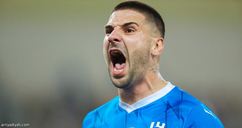 استفزوا الزعيم.. وذاقوا عقابه