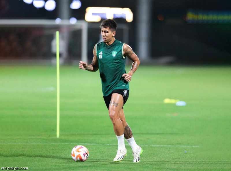 يايسله يطلب تجريبيات