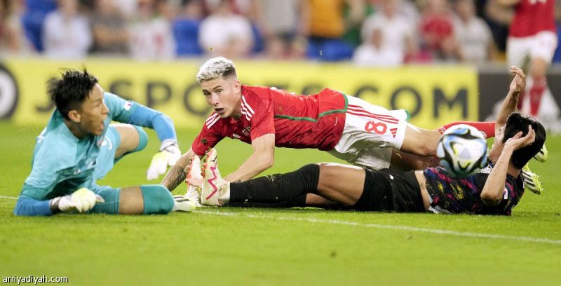 كوريا بلا أنياب