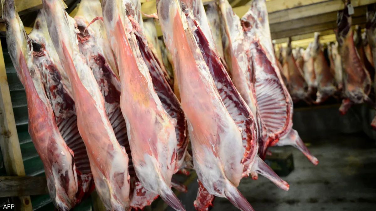 الجزائر تسمح باستيراد لحوم الدجاج والأبقار لمواجهة غلاء الأسعار