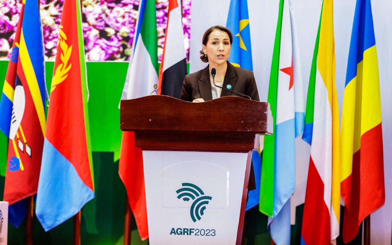 الإمارات تدعو أفريقيا للتوقيع على «إعلان النظم الغذائية»