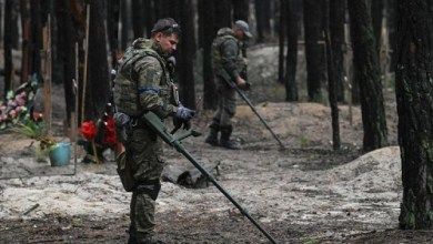 الدفاع الأوكرانية: فحص الأراضي الزراعية ضمن جهود إزالة الألغام