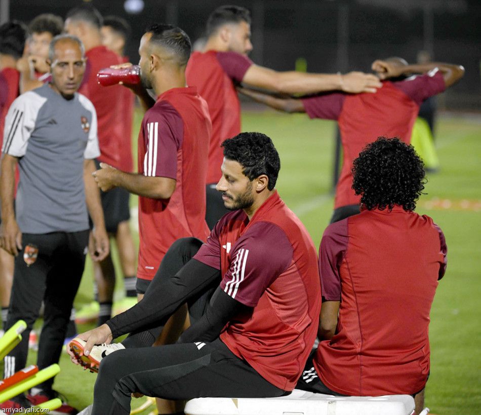 «كهربا» يعوض موديست