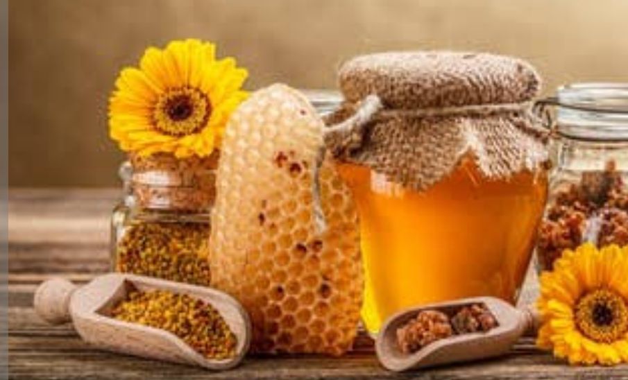 شمال وجنوب الشرقية الأعلى انتاجاً للعسل العماني