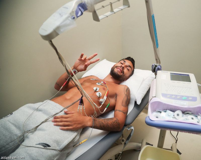 بيتروس ينضم إلى الصقور