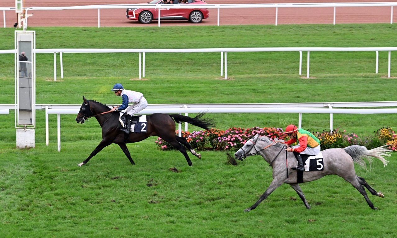 الخيالة السُّلطانية العُمانية تحقق المركز الثاني بمسابقة دولية