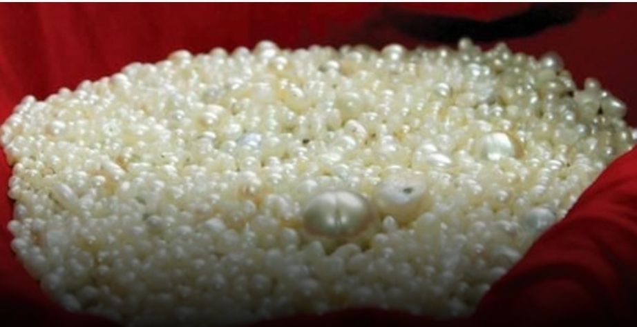 ارتفاع صادرات سلطنة عُمان من الحلي بنهاية 2022