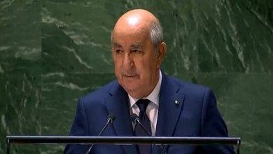 الرئيس الجزائري: نجدد رفضنا للتدخل العسكري في النيجر