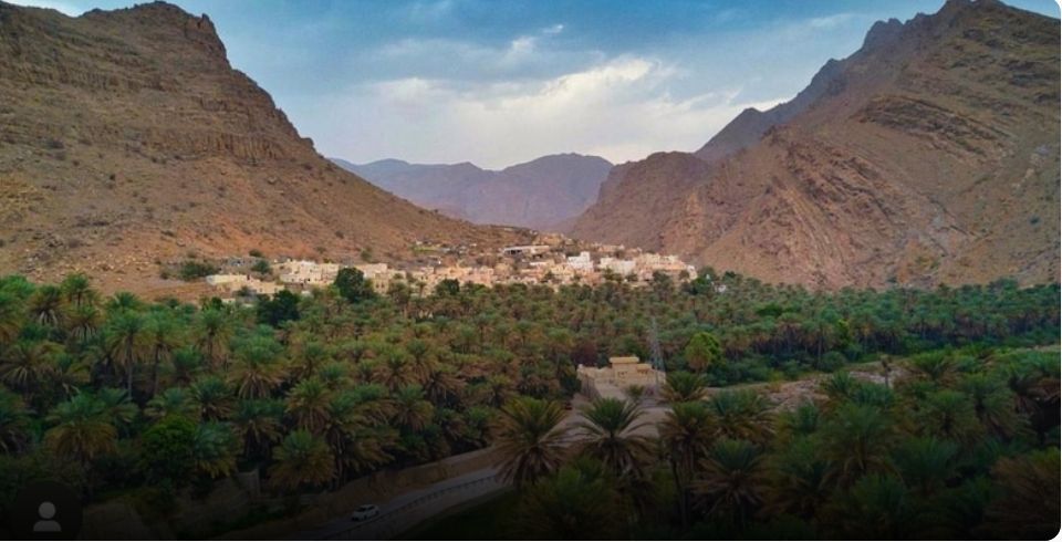 الصحة العالمية تزور “بضعة” .. ماذا تعرف عن أول قرية صديقة للطفولة؟