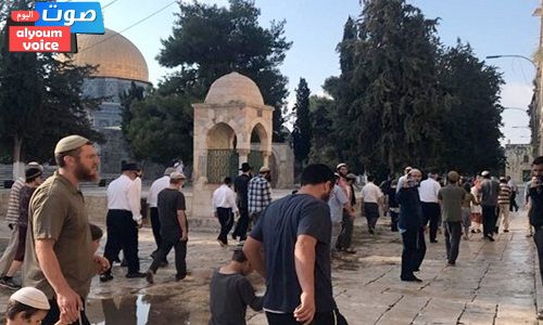 مستوطنون إسرائيليون يقتحمون “الأقصى”