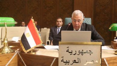 وزير الزراعة يلقي كلمة بجامعة الدول العربية في ورشة العمل التشاورية حول حالة الأمن الغذائي العربي