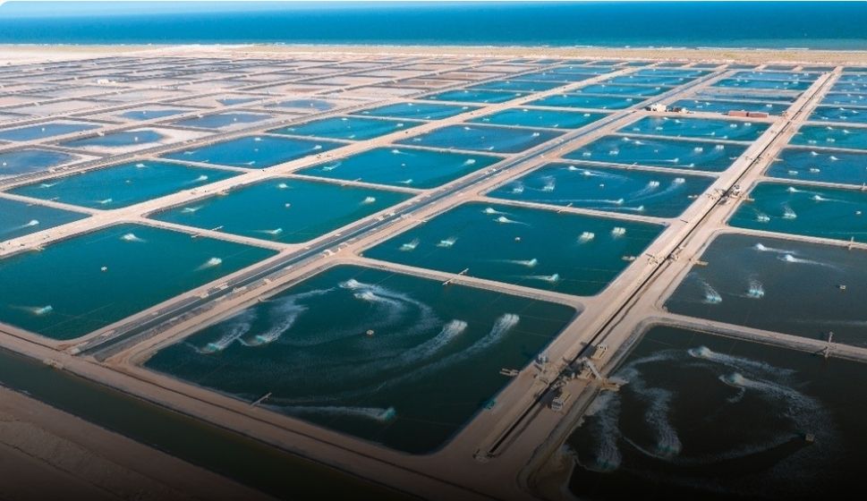 مشاركة عمانية بالمنتدى العالمي لمصائد الأسماك في روسيا