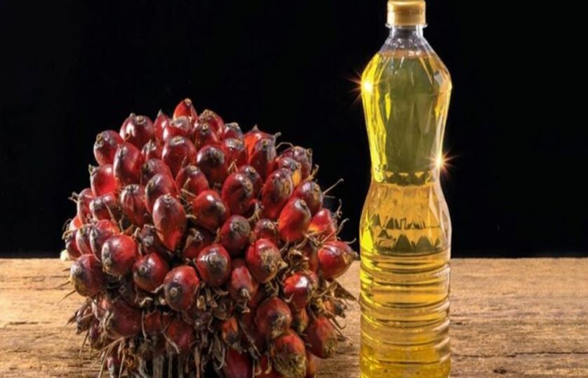 ارتفاع أسعار زيت النخيل لأعلى مستوى في أسبوع