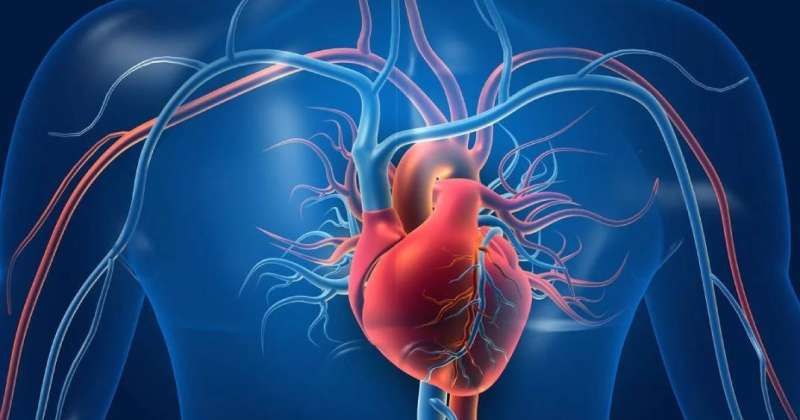 أمراض القلب.. السبب الأول للوفاة في الكويت