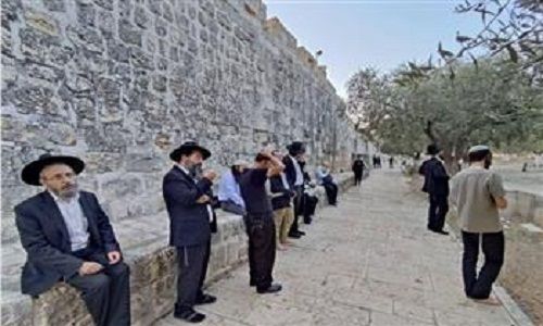 عشرات المستوطنون الإسرائيليون يؤدون طقوسا تلمودية بالقدس