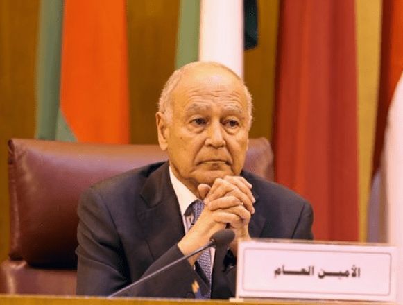 أبوالغيط يشيد بقرار الموافقة على اتفاقيتي السوق العربية المشتركة للكهرباء