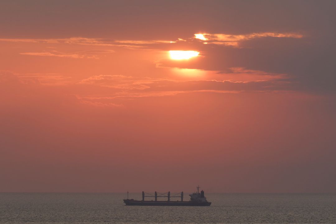 موقع مارين ترافيك: ثلاث سفن تغادر موانئ أوكرانية على البحر الأسود بعد التحميل