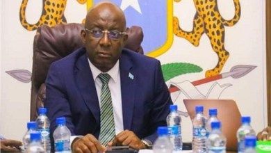 وزير الإعلام الصومالي: مقتل 100 إرهابي في عملية عسكرية بوسط البلاد