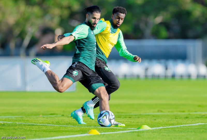 غرب إفريقيا تحت سيطرة الصقور