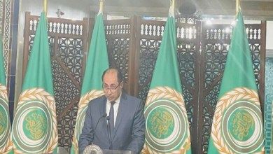 وزراء الخارجية العربية يؤكدون ضرورة الوقف الفوري للحرب الإسرائيلية على غزة