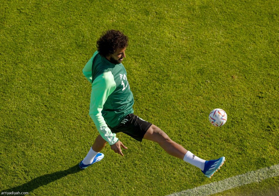 ذهبي المولد يحسم مناورة الصقور