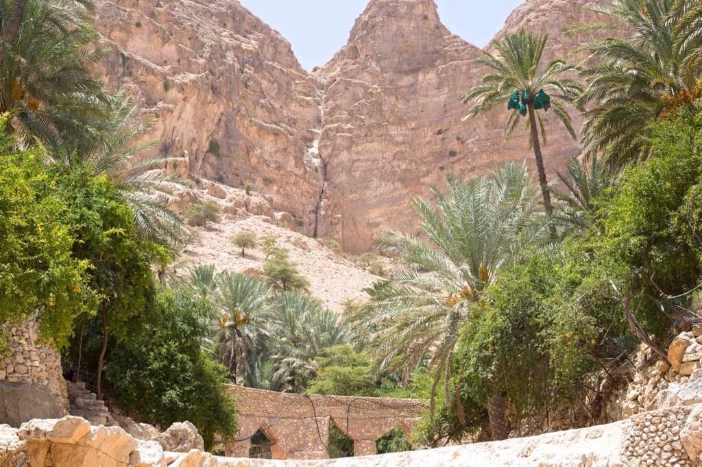 “فلج الجيلة ” من المواقع المدرجة على قائمة التراث العالمي لمنظمة اليونسكو