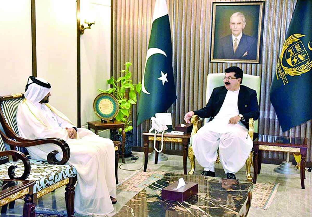 رئيس «الشيوخ» الباكستاني يجتمع مع القائم بأعمالنا