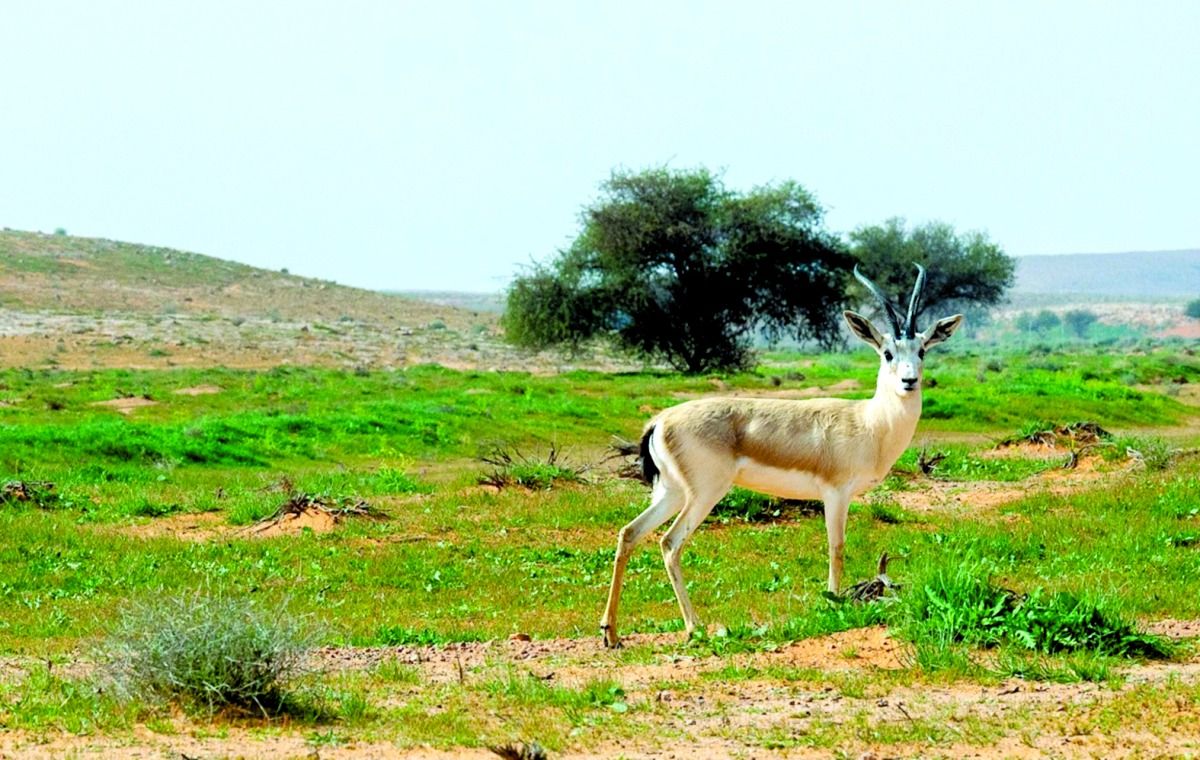 معالمنا السياحية وجهة غنية لزوار إكسبو