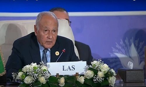 أبو الغيط يجب وقف إطلاق النار وتقديم المساعدات الإنسانية للفلسطينيين