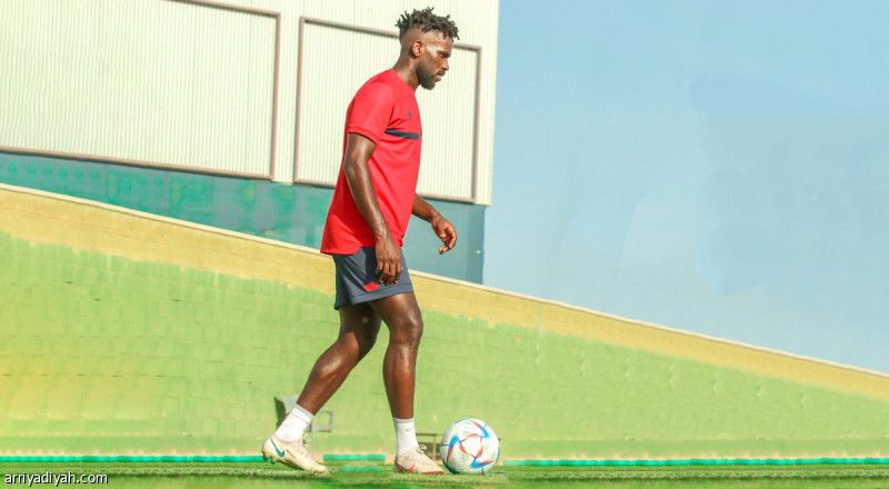 برنامج يسرّع عودة البيشي