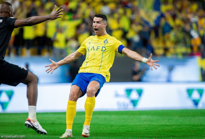 راجمات النصر تسقط ضمك