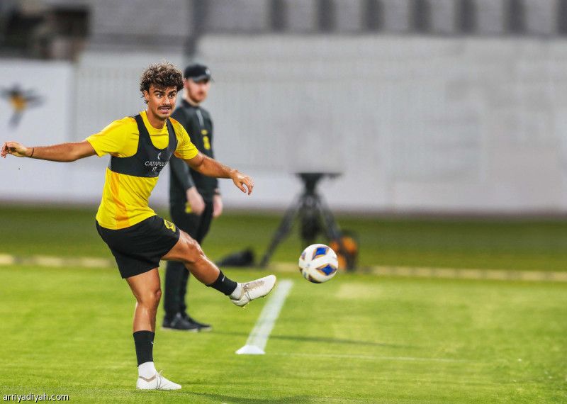 كدمة في مفصل الشنقيطي