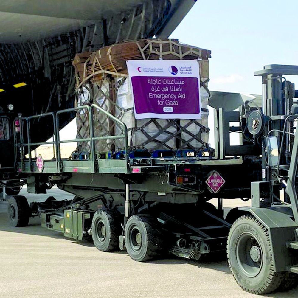 87 طن مساعدات غذائية وطبية  لدعم الفلسطينيين في غزة
