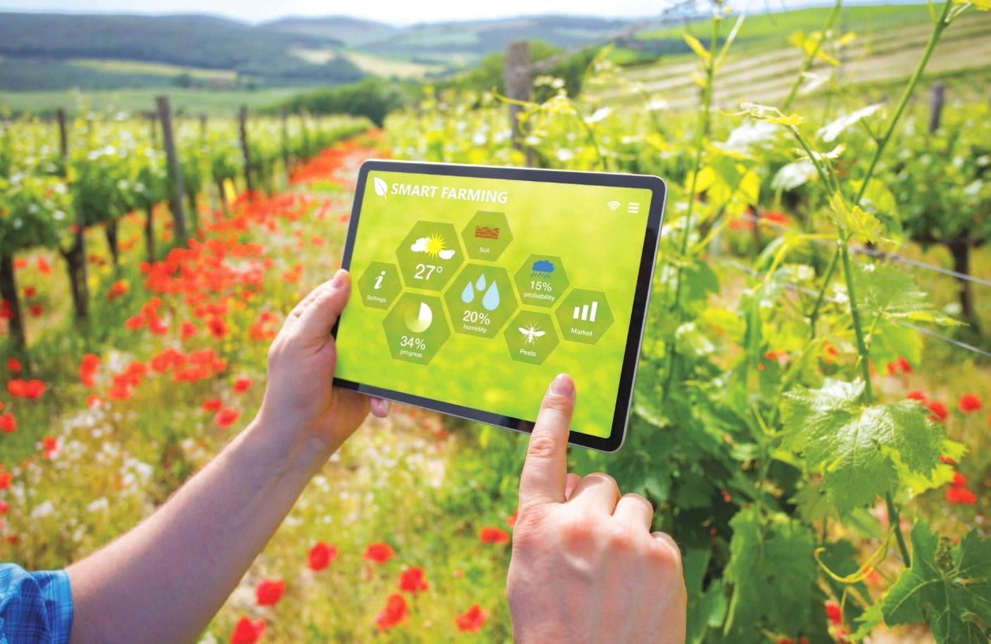 الهدر الغذائي.. فرص للمستثمرين في التقنيات الجديدة