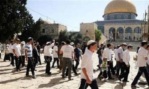 عشرات المستعمرين يقتحمون المسجد الأقصى بحماية شرطة الاحتلال الإسرائيلي