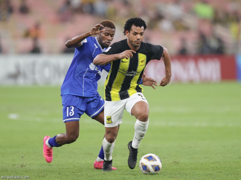 النمور تكسب شراكة الليوث