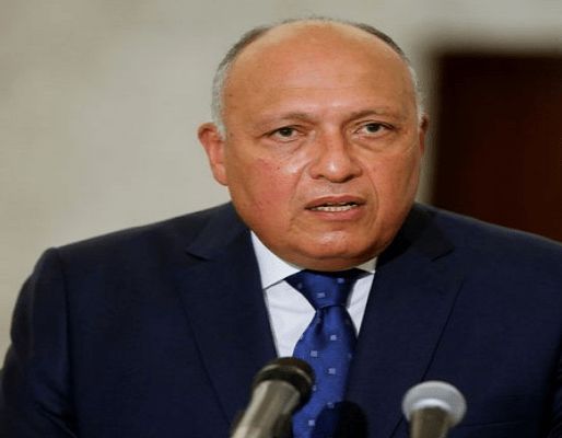 وزير الخارجية يشارك فى لقاء وزراء الخارجية العرب مع أنتونى بلينكن في نيويورك