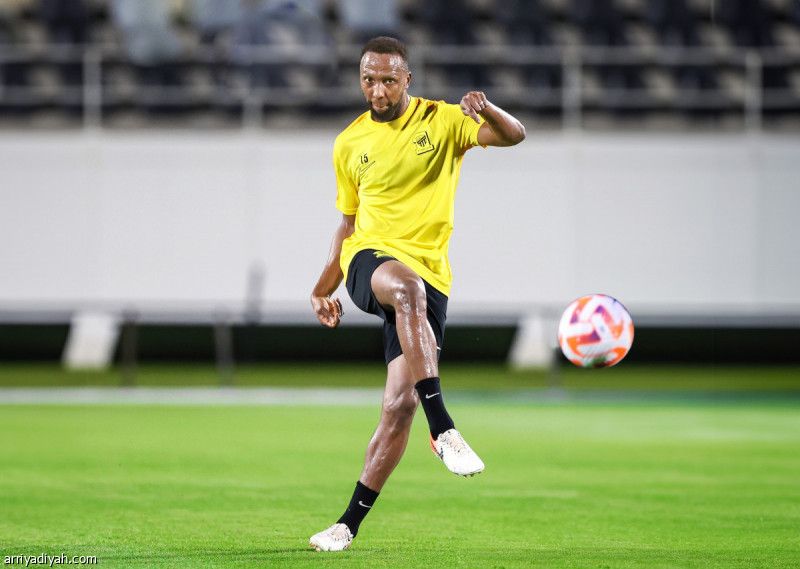 كادش يدعم قائمة النمور