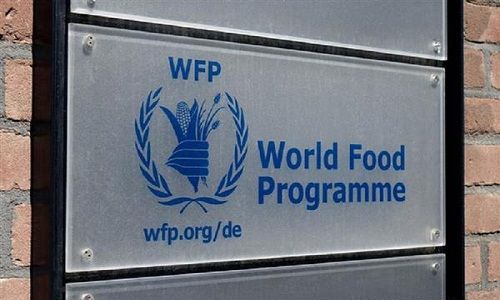 الأغذية العالمي: نقص الوقود قد يوقف تقديم المساعدات الغذائية لآلاف النازحة في غزة