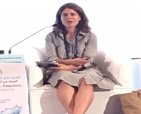 مسؤولة دولية: إتاحة المياه للمدنيين قضية هامة لا يمكن لأحد أن ينكرها