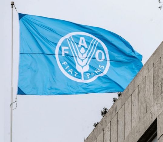 “الفاو”: 26.5 مليون نيجيري معرضون لخطر الجوع في عام 2024