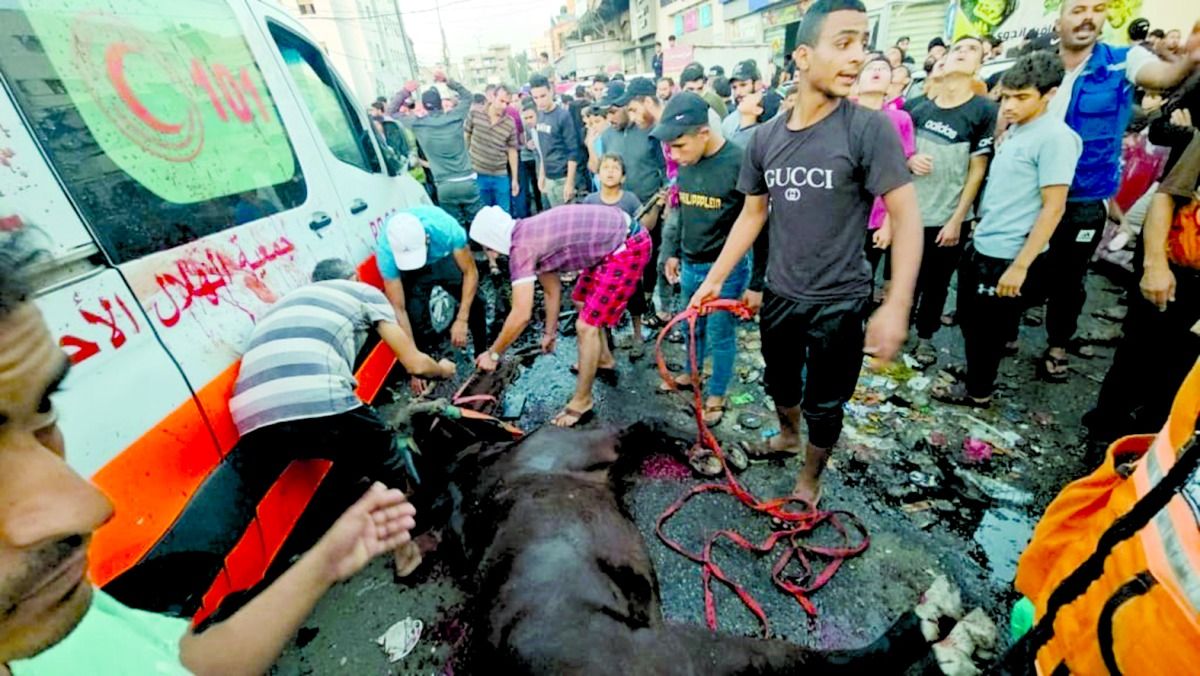 قطر تدين قصف الاحتلال لمدرسة ومستشفيات في غزة