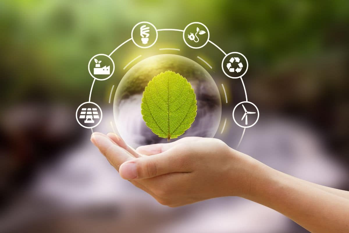 الإمارات تسرّع التحول العالمي نحو النظم الغذائية والزراعية المستدامة